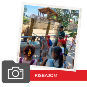 Kisbajom Világjegy 2022 Kisbajom Világjegy 2022