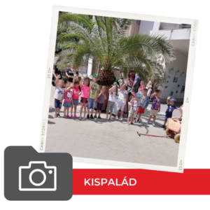 Kispalád Világjegy 2022 Kispalád Világjegy 2022