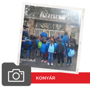 Konyár Világjegy 2022 Konyár Világjegy 2022