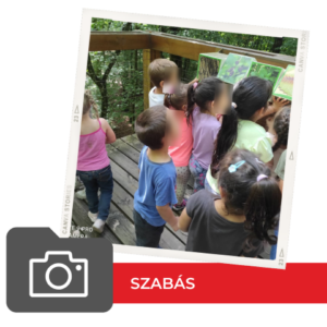 Szabás Világjegy 2022 Szabás Világjegy 2022