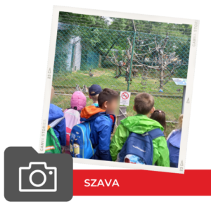 Száva Világjegy 2022 Száva Világjegy 2022