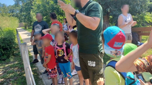 Kisbajom - Világjegy 2022 Kisbajom - Világjegy 2022