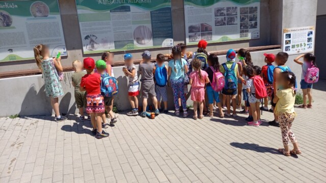 Kisbajom - Világjegy 2022 Kisbajom - Világjegy 2022