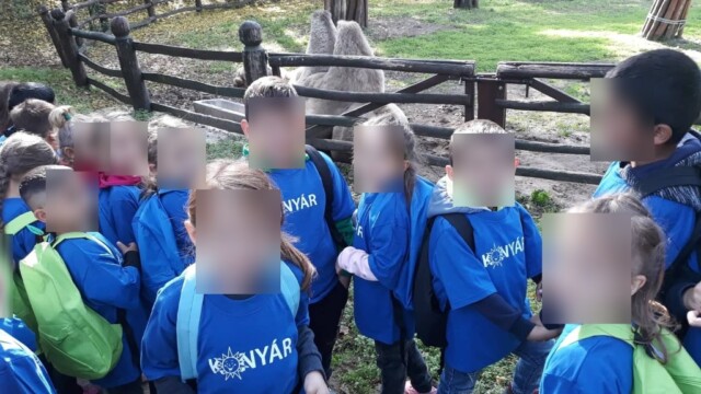 Konyár - Világjegy 2022 Konyár - Világjegy 2022