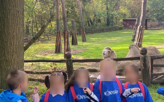 Konyár - Világjegy 2022 Konyár - Világjegy 2022