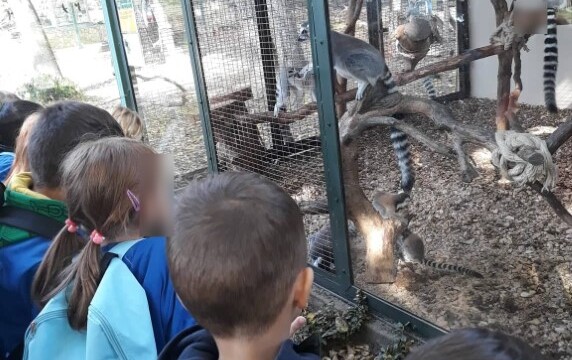 Konyár - Világjegy 2022 Konyár - Világjegy 2022