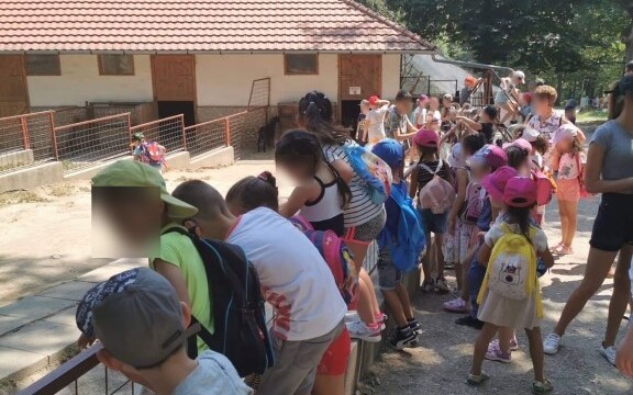 Novajidrány - Világjegy 2022 Novajidrány - Világjegy 2022