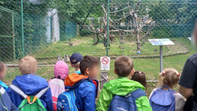 Száva - Világjegy 2022 Száva - Világjegy 2022