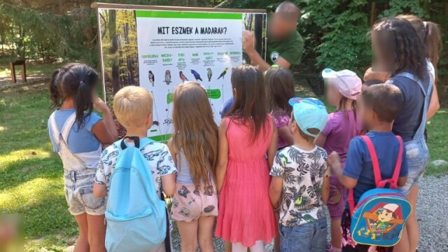 Zabar - Világjegy 2022 Zabar - Világjegy 2022